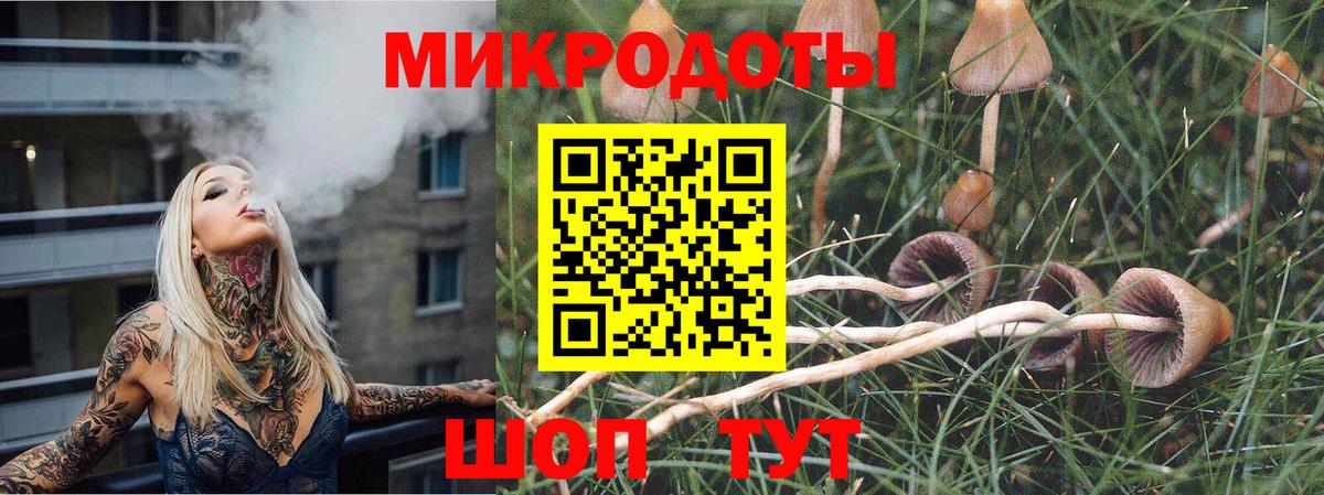 Галлюциногенные грибы прущие грибы  Вход с VPN  Шадринск  Галлюциногенные грибы ЛСД 